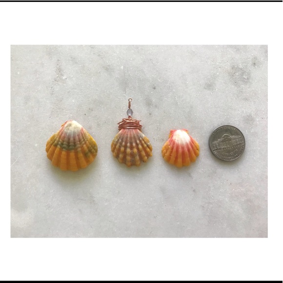 Meet your Posher, Beth - Picture 2 of 5